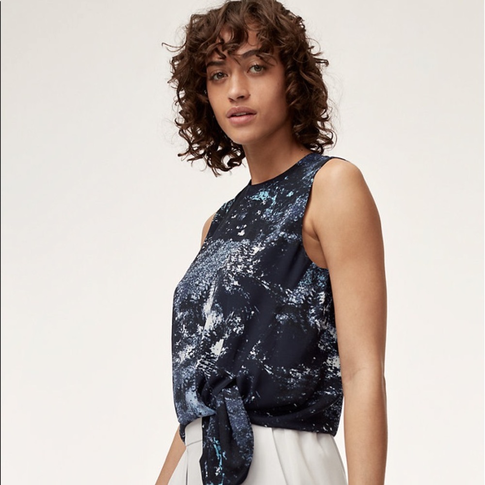 Aritzia Babaton Hopkins Blouse View 6